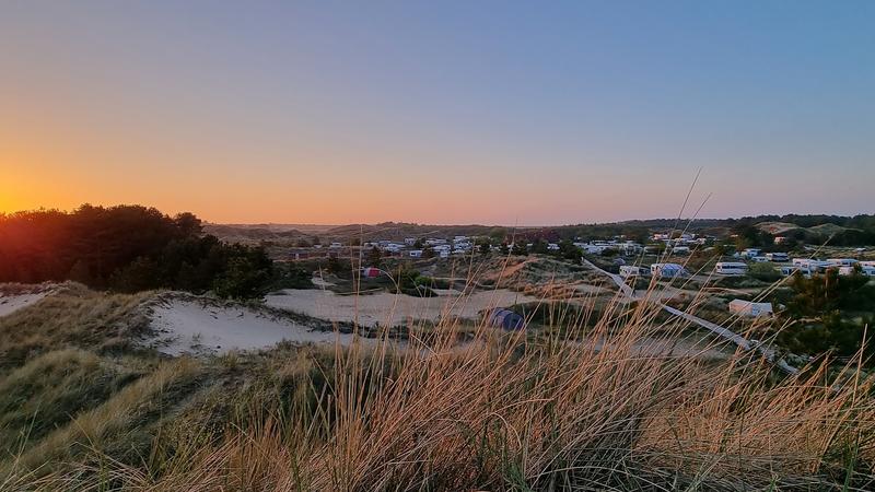 5 ideale Campingplätze an der Ostsee mit Hund Caravan und Co